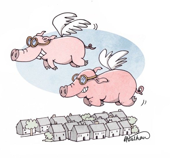 Pigs fly